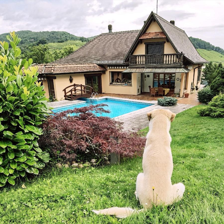 Апартаменты Chez Aude Andlau-au-Val Экстерьер фото